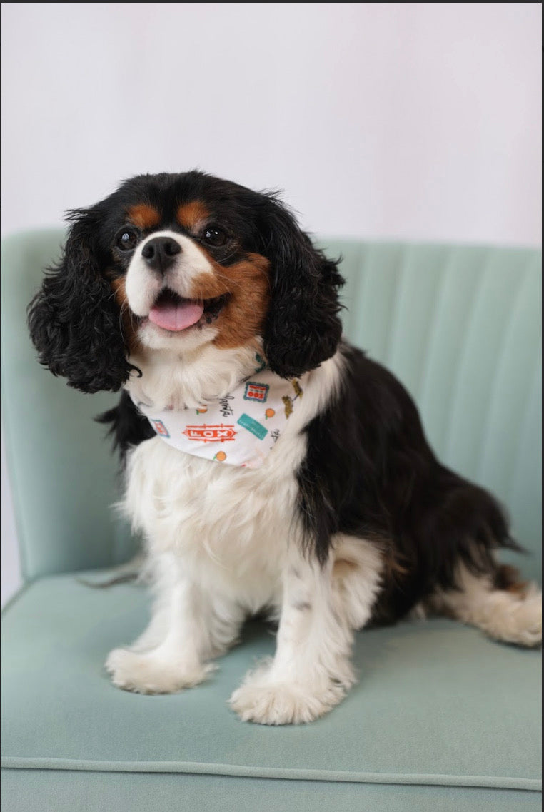 Spring Bandanas