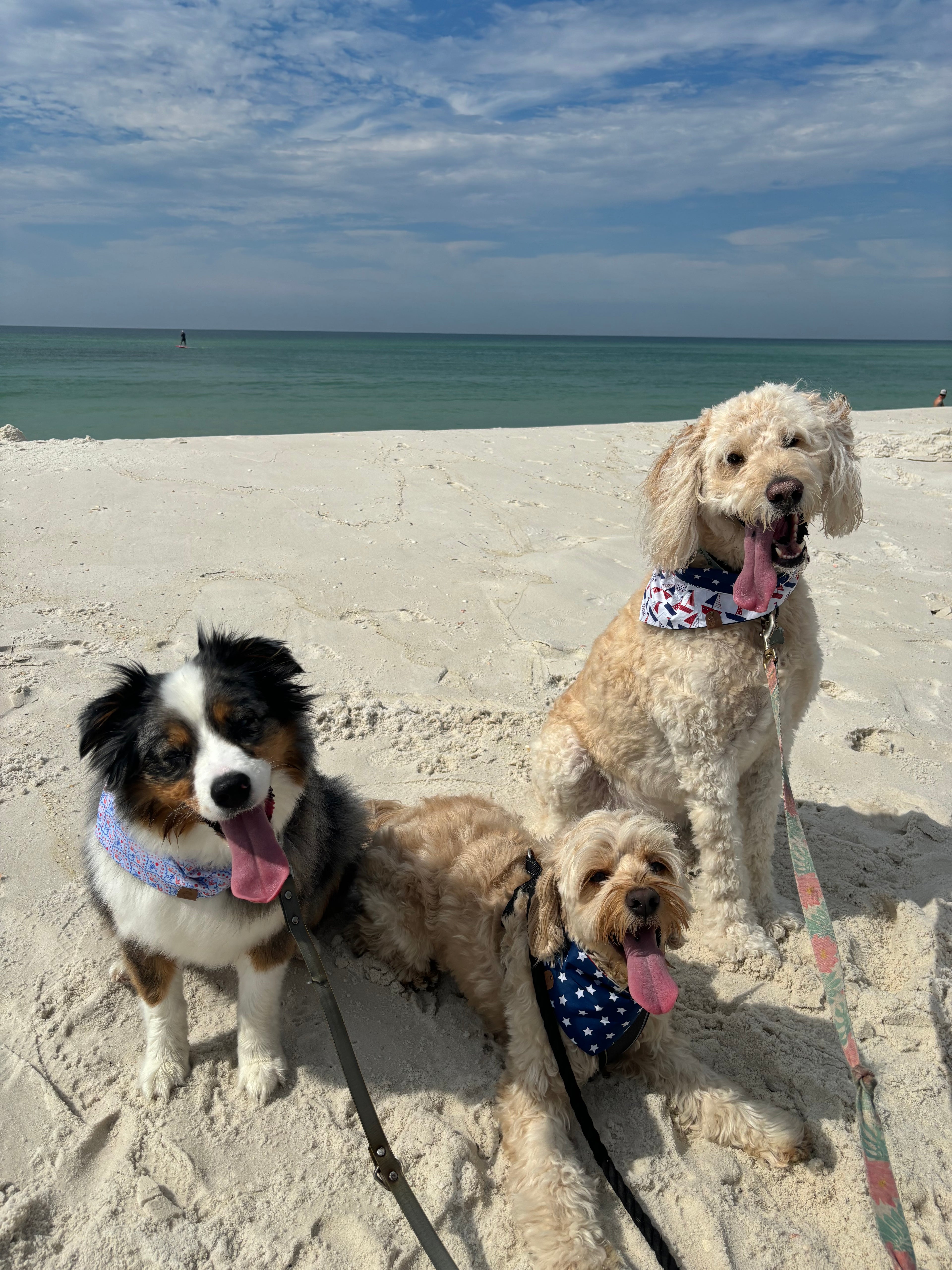 Summer Bandanas