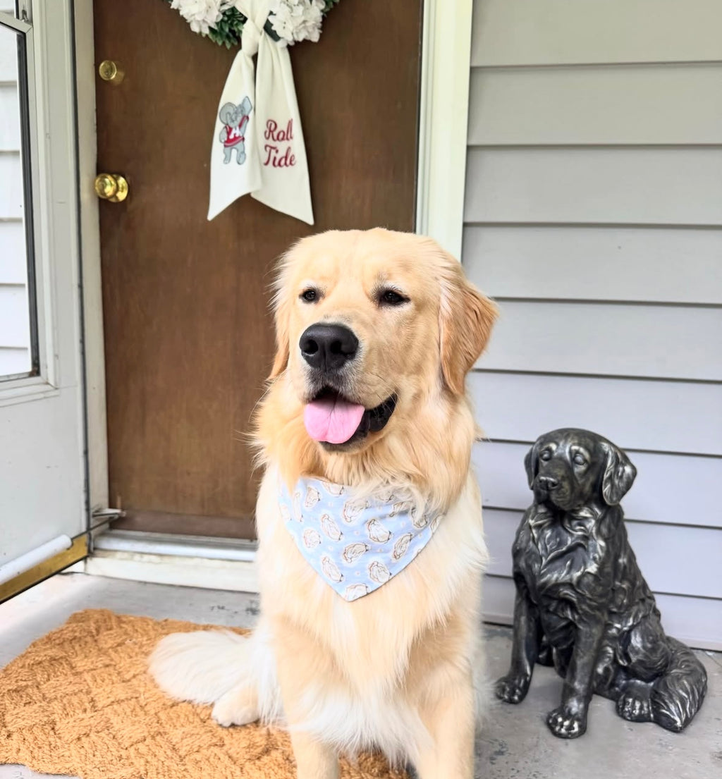 Pearl Pup