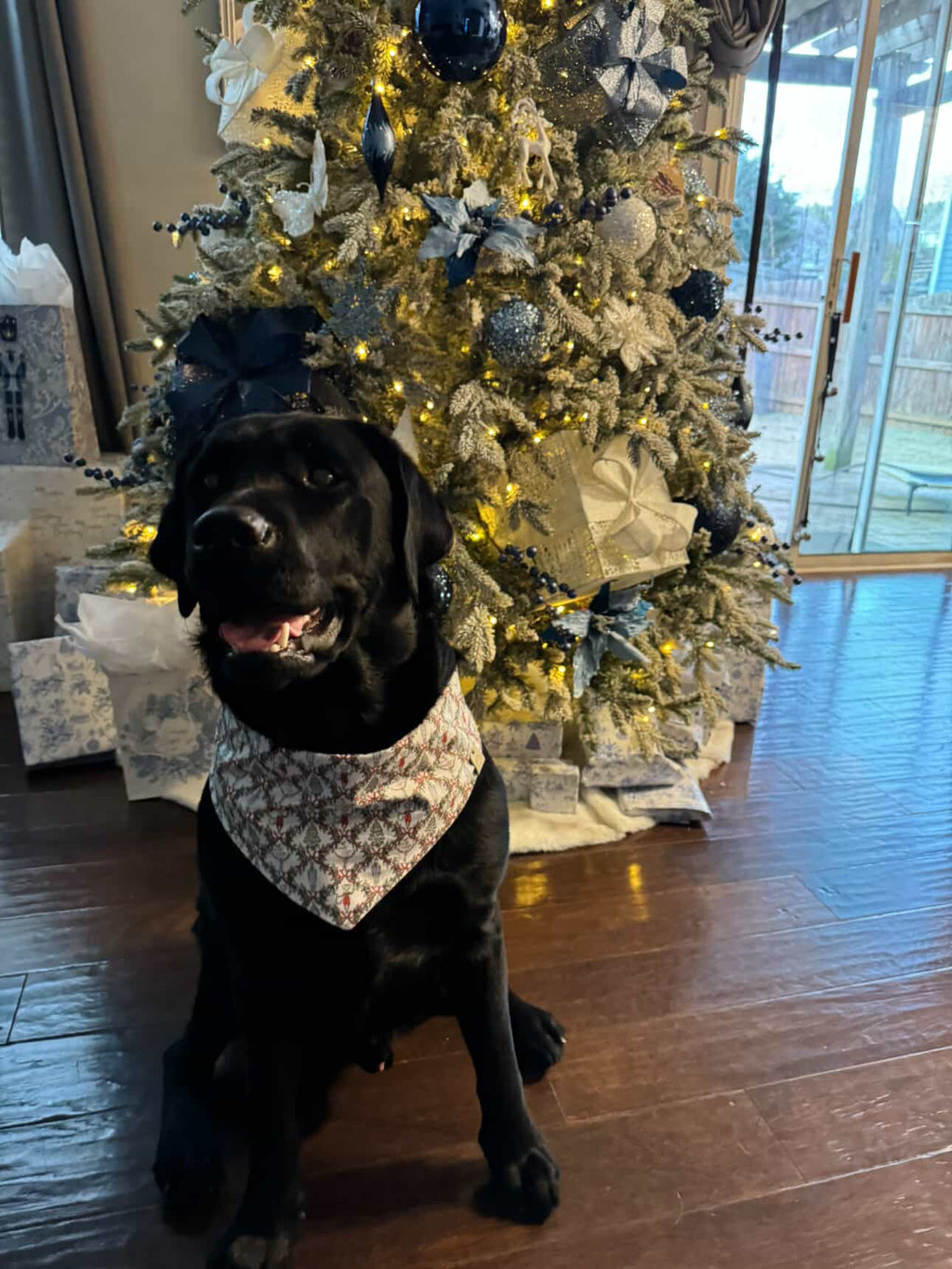 Bark the Halls